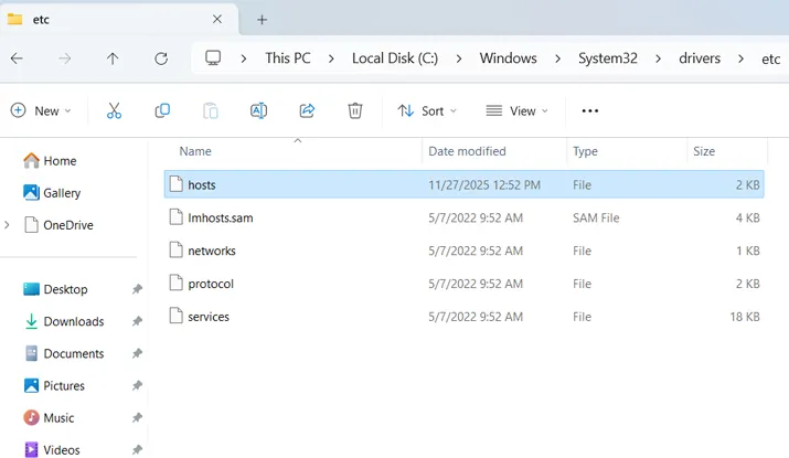 بررسی فایل Hosts