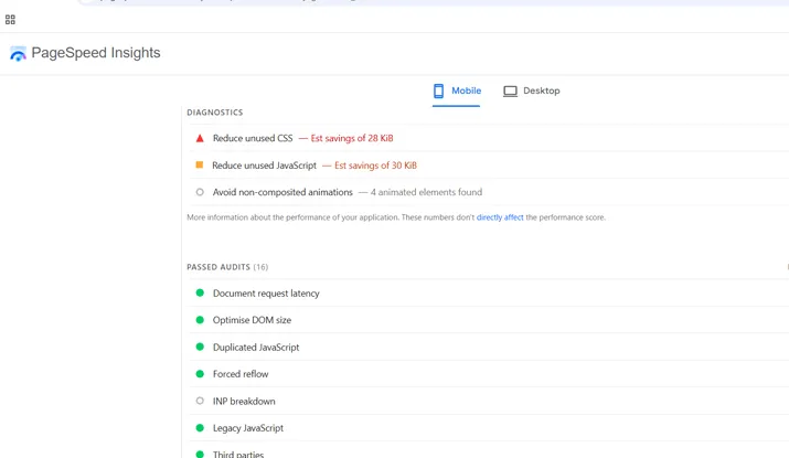 بخش Passed Audits و Diagnostics در PageSpeed Insights